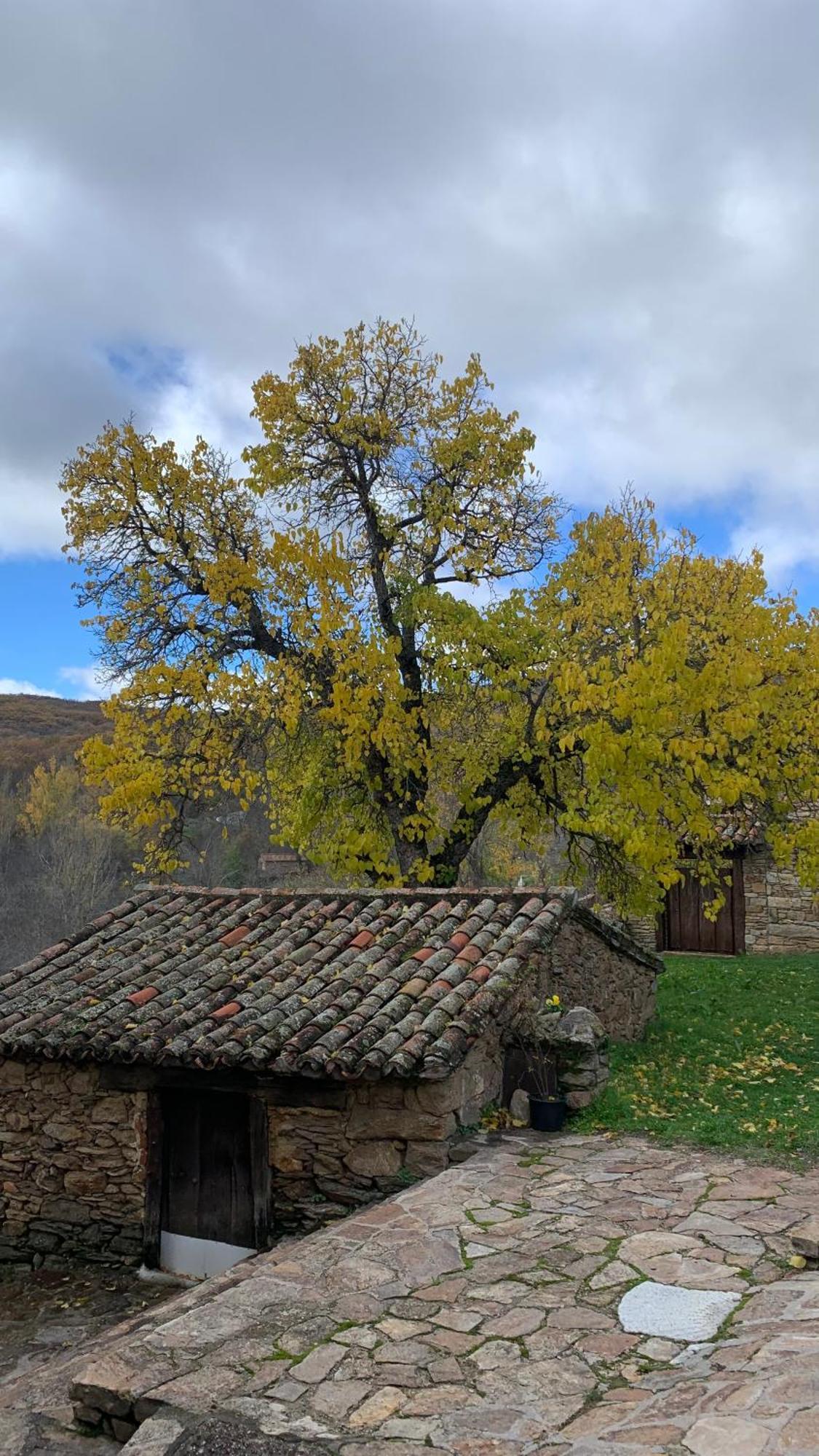 Al Viento, Alojamiento & Turismo Rural Pradena Del Rincon Екстериор снимка