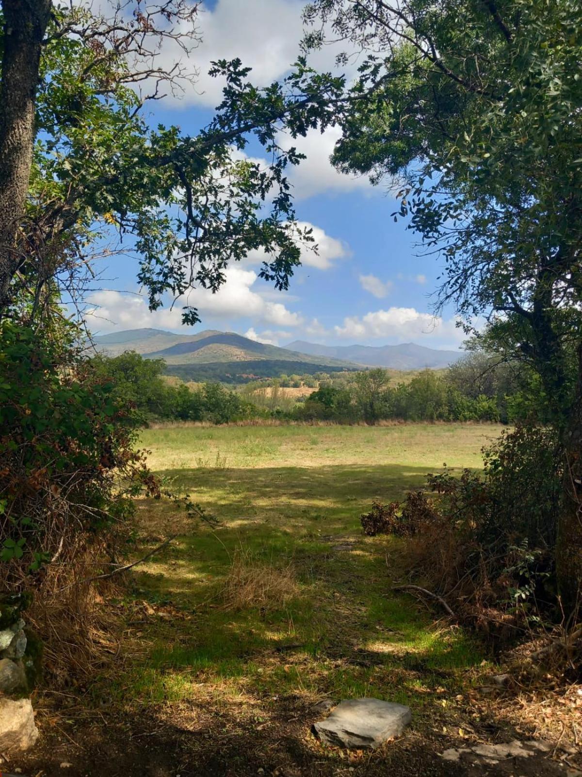 Al Viento, Alojamiento & Turismo Rural Pradena Del Rincon Екстериор снимка