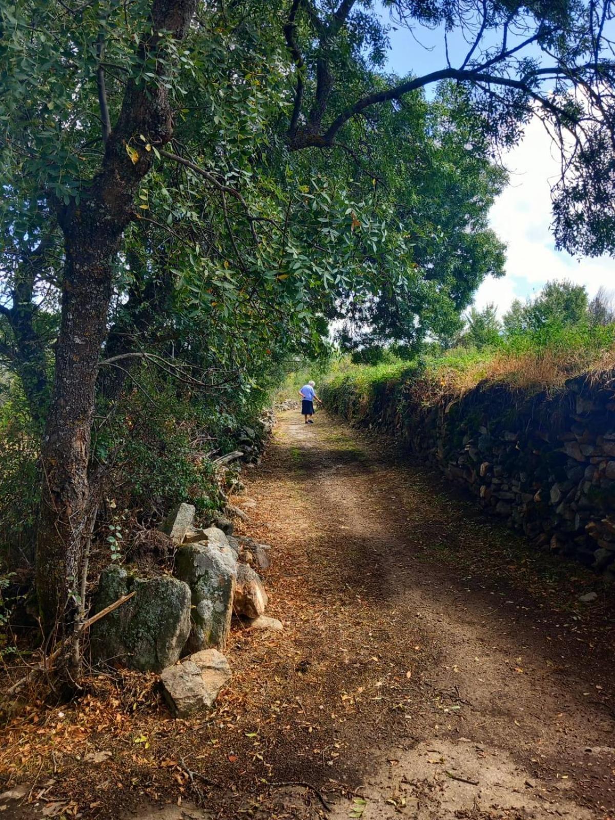Al Viento, Alojamiento & Turismo Rural Pradena Del Rincon Екстериор снимка
