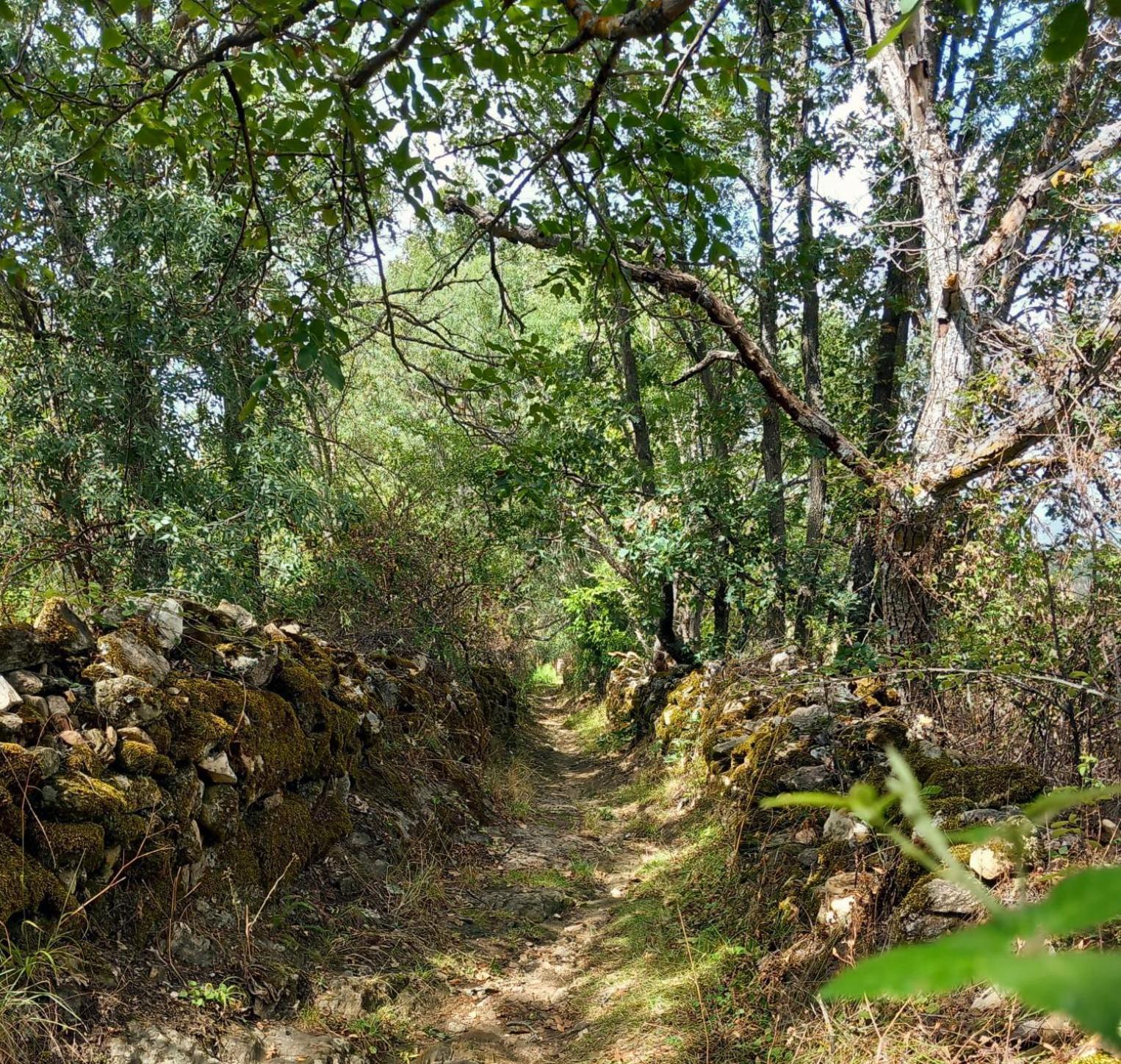 Al Viento, Alojamiento & Turismo Rural Pradena Del Rincon Екстериор снимка