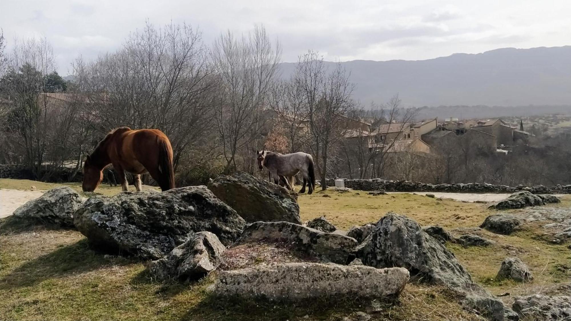 Al Viento, Alojamiento & Turismo Rural Pradena Del Rincon Екстериор снимка