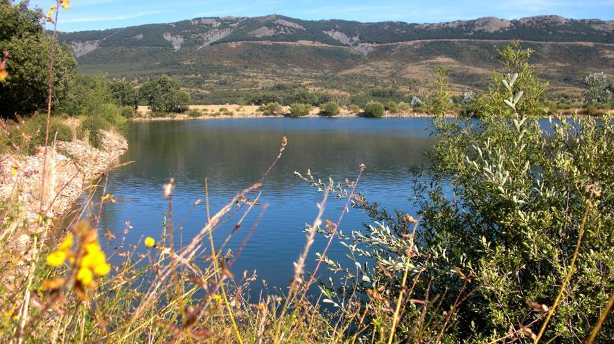 Al Viento, Alojamiento & Turismo Rural Pradena Del Rincon Екстериор снимка