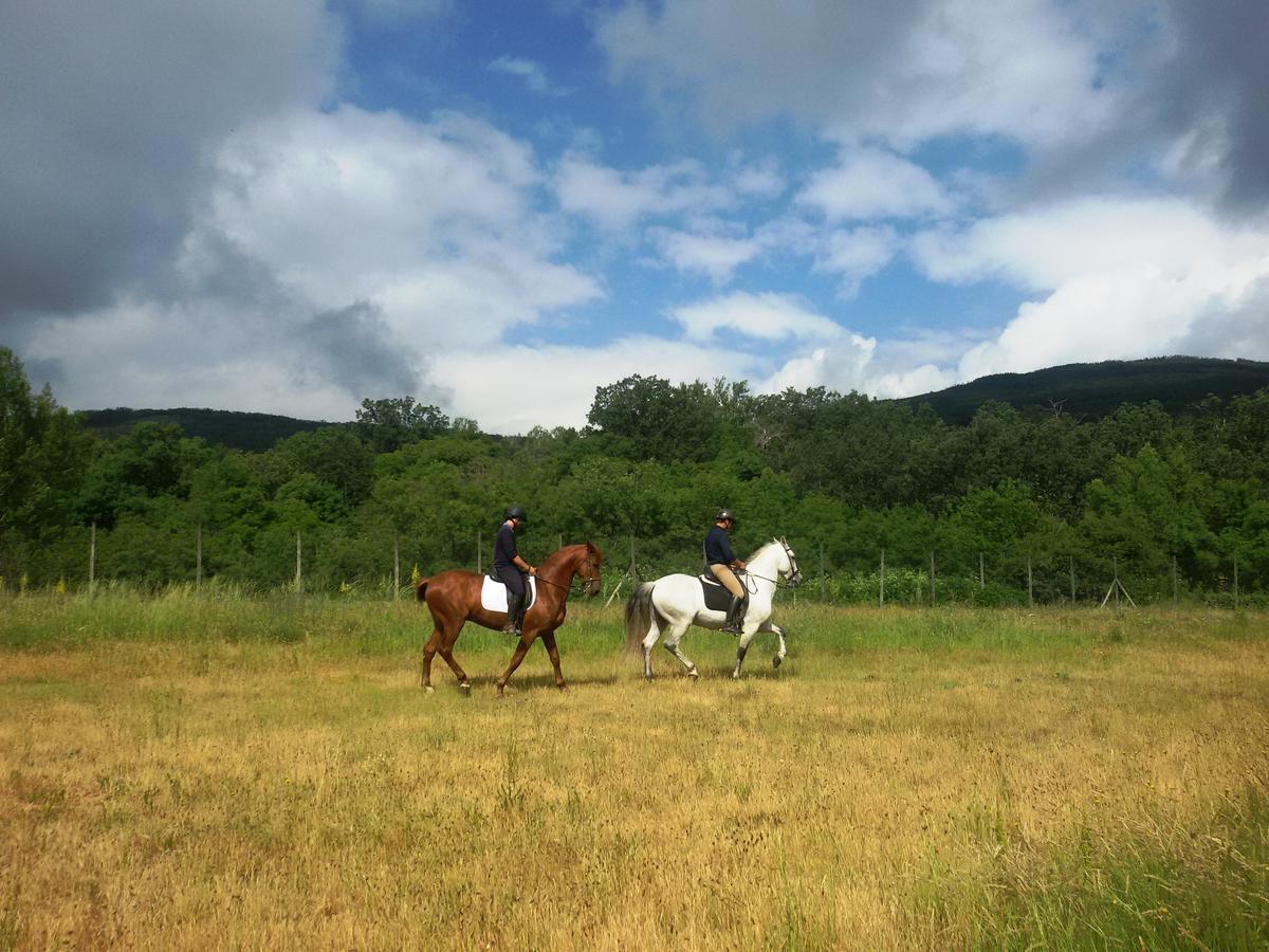 Al Viento, Alojamiento & Turismo Rural Pradena Del Rincon Екстериор снимка
