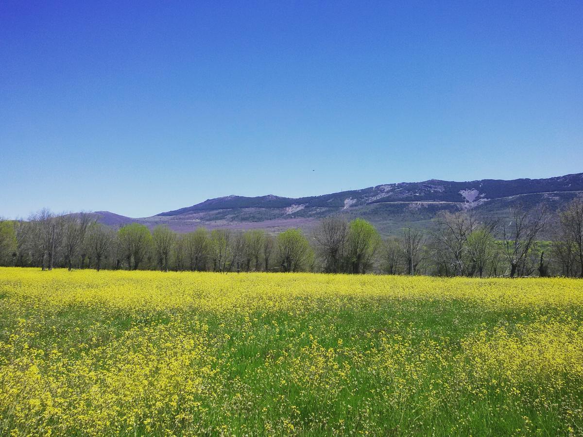 Al Viento, Alojamiento & Turismo Rural Pradena Del Rincon Екстериор снимка