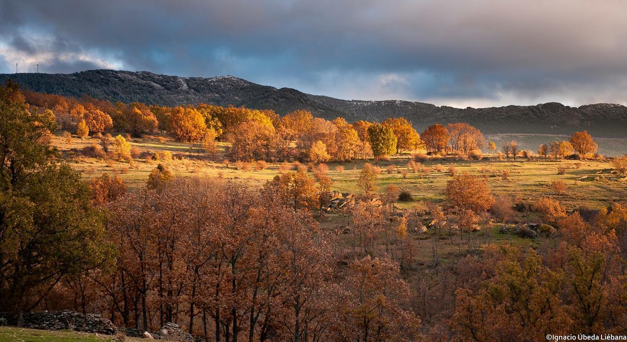 Al Viento, Alojamiento & Turismo Rural Pradena Del Rincon Екстериор снимка